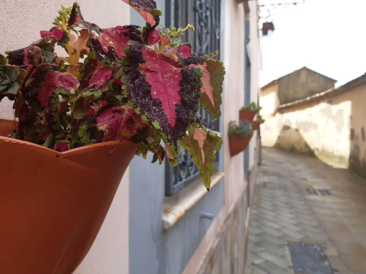 Appartamento Per Turisti Filoxenia Santa Severina المظهر الخارجي الصورة